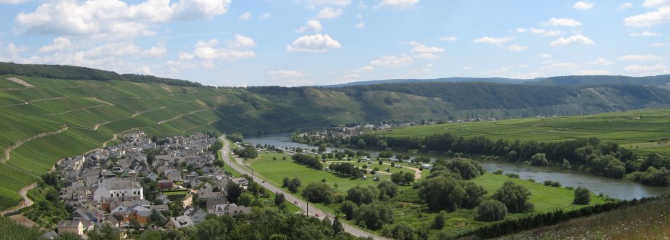 Klüsserath Touristinformation Römische Weinstraße